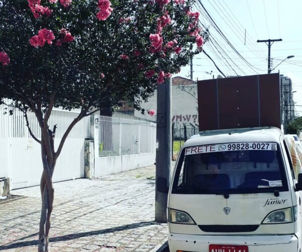 fretes-e-mudanca-em-curitiba-fretes-silva fretes-e-mudanca-em-curitiba-fretes-silva