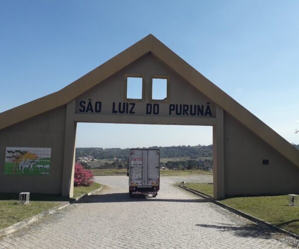 fretes-e-mudanca-em-curitiba-intermunicipal-fretes-silva fretes-e-mudanca-em-curitiba-intermunicipal-fretes-silva